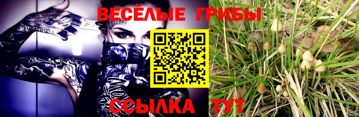 Псилоцибиновые грибы прущие грибы Аксай